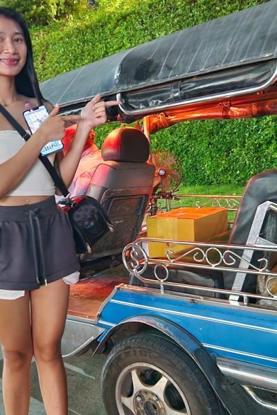 Dafang - TukTuk Patrol Image #12